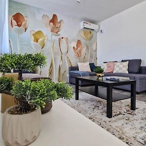 Amphora Luxury Apartment With Free Private Parking And Cozy Balcony